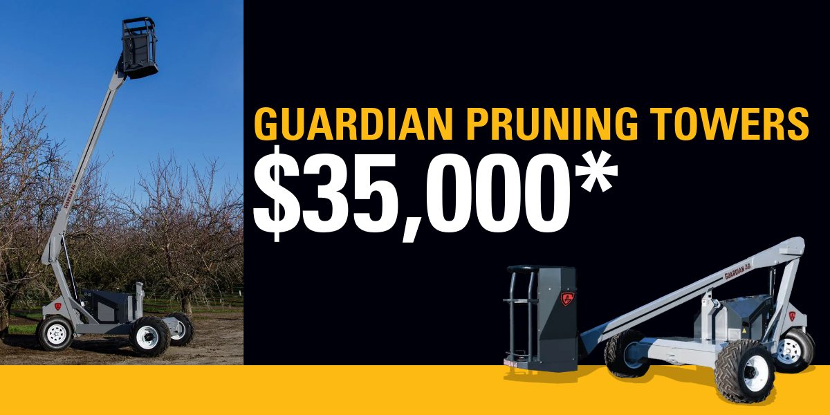 Pruning-Tower-Special-Banner-2